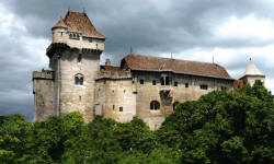 Bild Burg Liechtenstein